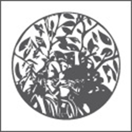 Immagine per la categoria Ceramica Artistica