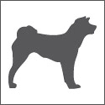 Immagine per la categoria Negozi Animali
