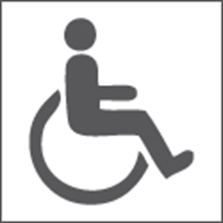 Immagine per la categoria Attrezzature e servizi per disabili
