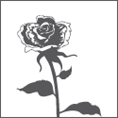 Immagine per la categoria Fiorai
