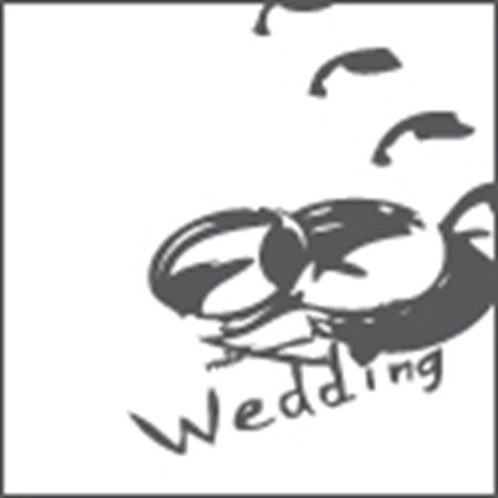 Immagine per la categoria Wedding Planner