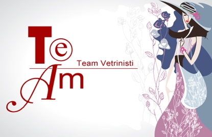 Immagine di Team Vetrinisti