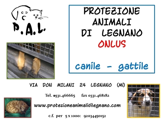 Immagine di Protezione Animali di Legnano Onlus