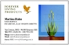 Immagine di Martina Hahn, incaricata Forever Living Products